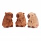 PELUCHE CAPIBARA KAWAII PERSONALIZABLE 22 CM (3 MODELOS SURTIDOS)
