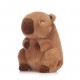 PELUCHE CAPIBARA KAWAII PERSONALIZABLE 22 CM (3 MODELOS SURTIDOS)