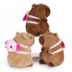 PELUCHE CAPIBARA KAWAII CON MOCHILA AJOLOTE PERSONALIZABLE 21 CM (3 MODELOS SURTIDOS)