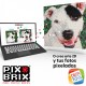 PIX BRIX PIXEL ART SET DINOSAURIO BRAQUIOSAURIO 808 PIEZAS